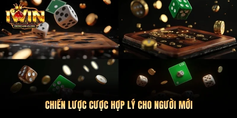 Chiến lược cược hợp lý cho người mới