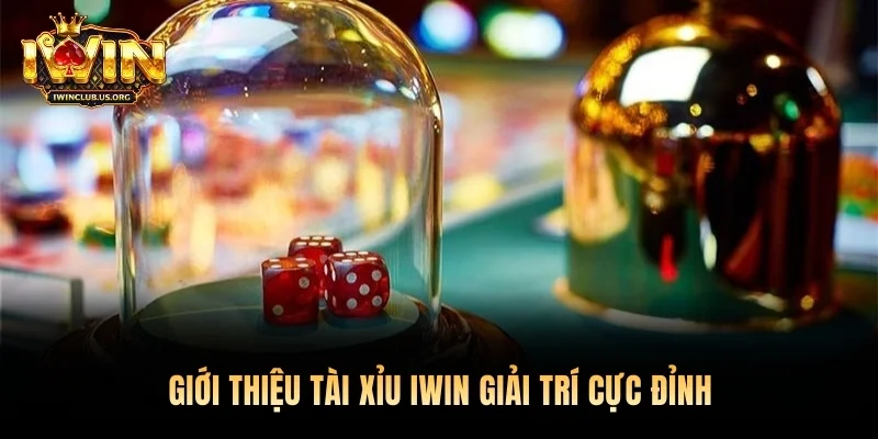  Giới thiệu Tài Xỉu Iwin giải trí cực đỉnh